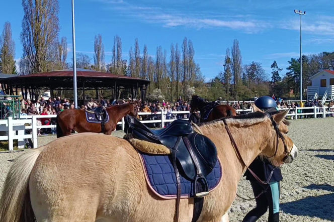 Konna święconka w Szczecinie