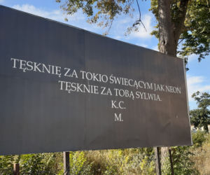 Bilbord z wyznaniem tęsknoty