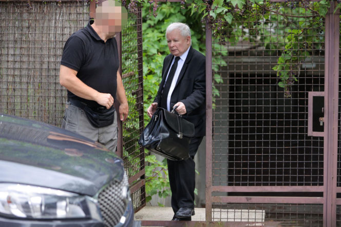 Koty Jarka nas terroryzują