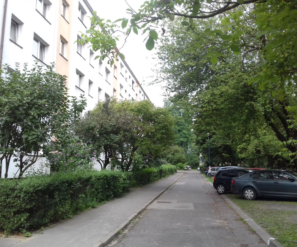 Kto puszcza dźwięki drapieżnych ptaków na jednym z krakowskich osiedli?