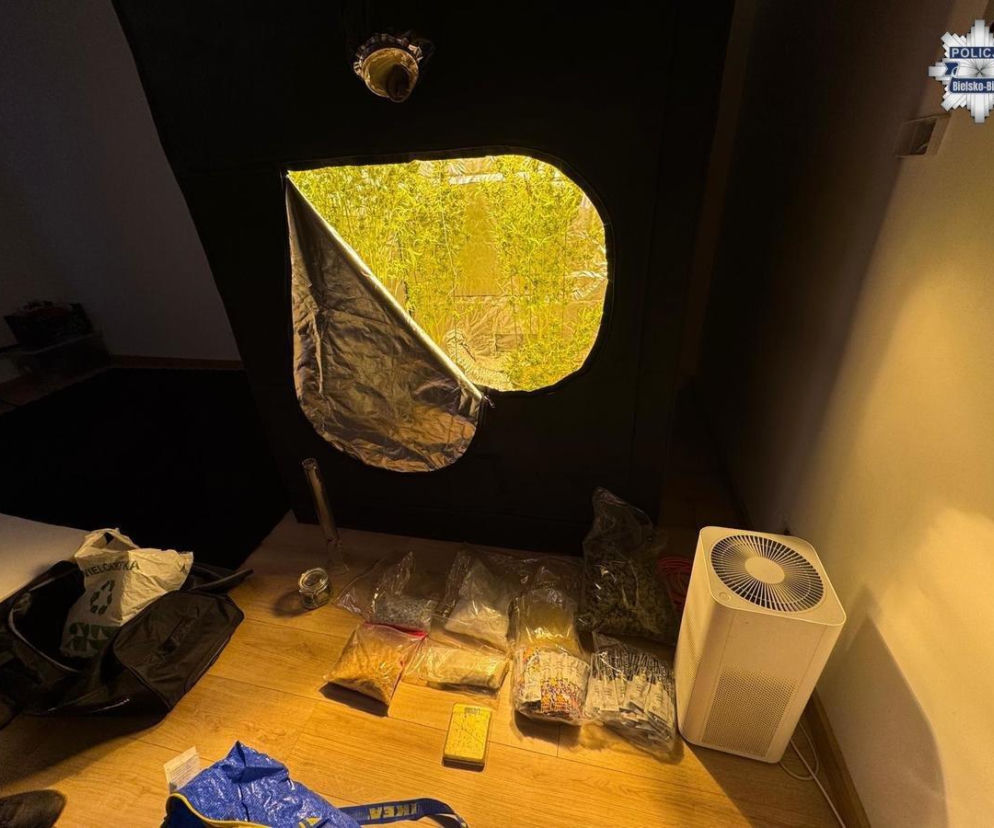Tajne laboratorium narkotykowe zlikwidowane! Ogromny przechwyt policji