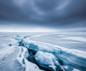 Polska staje w obronie Danii. Co skrywają plany USA wobec Grenlandii?