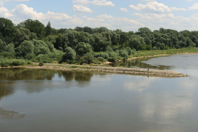 Warszawa w 2016 roku