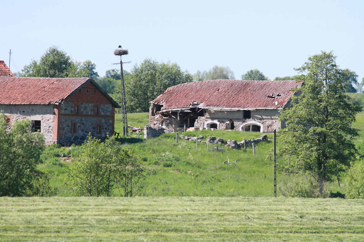 Nawiedzona szamanka głodzi zwierzęta