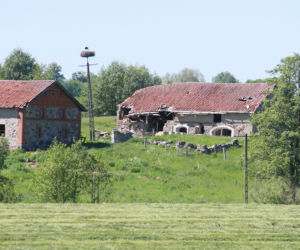 Nawiedzona szamanka głodzi zwierzęta
