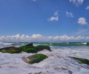 Królowa Przetrwania 3, odcinek 5