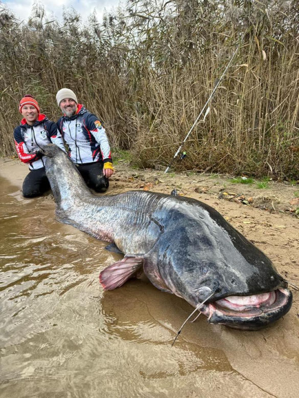 Polscy wędkarze złowili suma giganta o długości 292 cm. To nowy rekord świata!