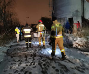 Ariel z Jarocina przepadł bez śladu. Trwa kolejny dzień poszukiwań! [ZDJĘCIA]