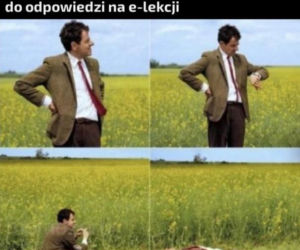 nauka zdalna - memy