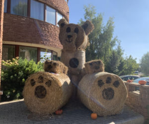 Lublin opanowały dynie. Sezon na jesienne potrawy rozpoczęty