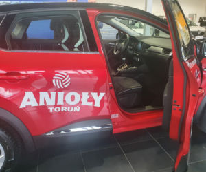 Anioły Toruń przedstawiły plany na grudzień i pozyskały nowego partnera