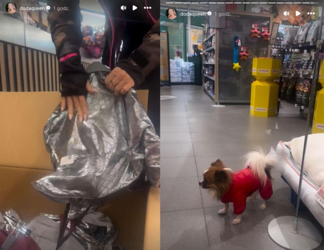 Doda ratuje bezdomne psy przed ekstremalnym mrozem. Poruszający apel artystki