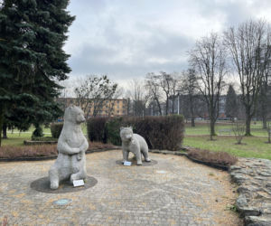 Niedźwiadki w Parku Niedźwiadków