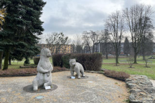 Niedźwiadki w Parku Niedźwiadków