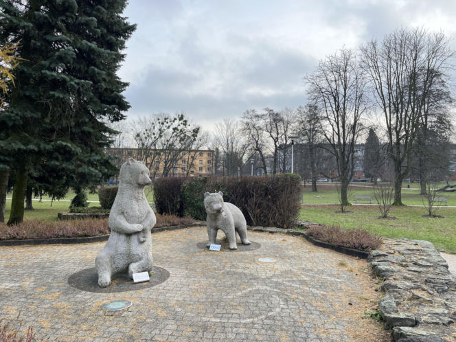 Niedźwiadki w Parku Niedźwiadków