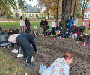 Posadzili kolejne żonkile w Lesznie. W dniu walki z rakiem piersi