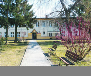 Horror w szkole