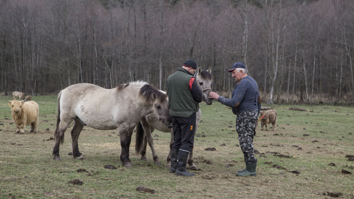 Rolnicy. Podlasie odcinek 15. Premiera w niedzielę 20 czerwca