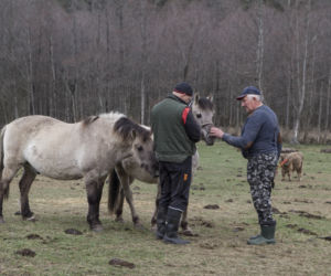 Rolnicy. Podlasie odcinek 15. Premiera w niedzielę 20 czerwca