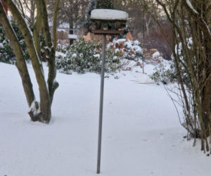 Atak zimy na wybrzeżu. Burze śnieżne, zasypane drogi i alerty IMGW