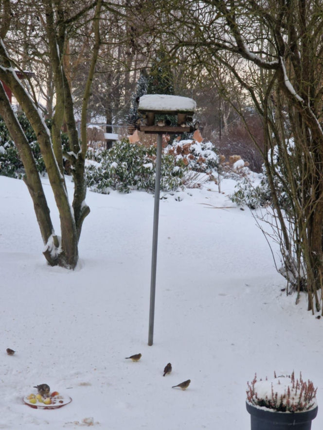 Atak zimy na wybrzeżu. Burze śnieżne, zasypane drogi i alerty IMGW
