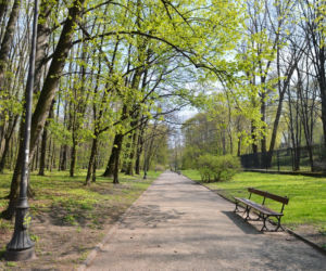 Park Skarpa Warszawska na tyłach Muzeum Narodowego