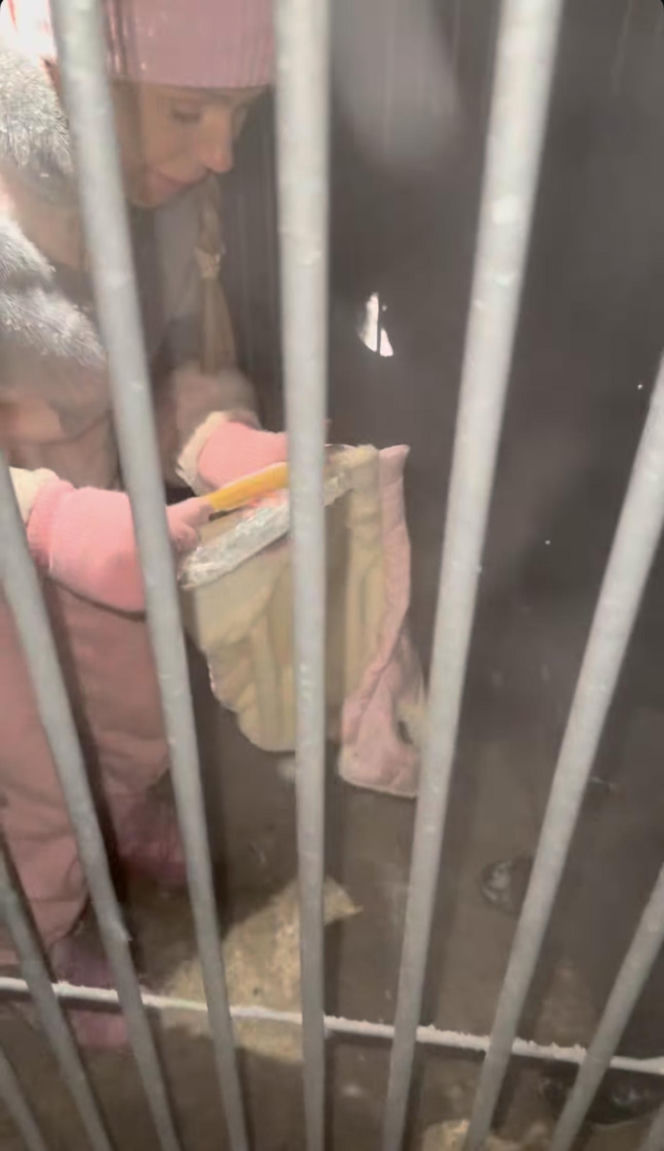 Doda ratuje psy przed mrozem