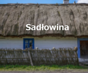 Sadłowina