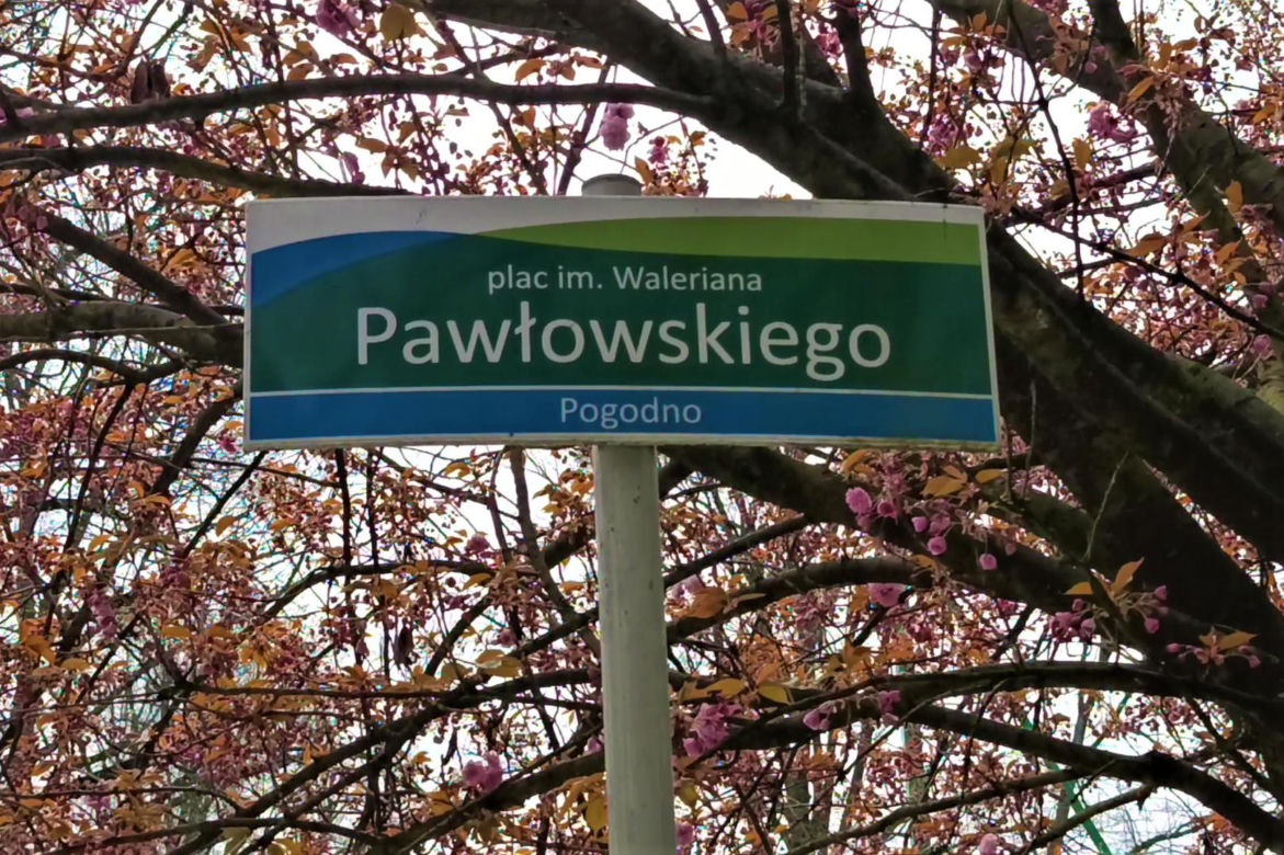 Pchli targ na Pogodnie