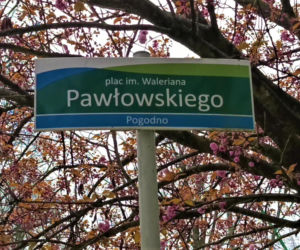 Pchli targ na Pogodnie