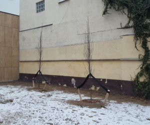 Koniec budowy nowej biblioteki w Lesznie