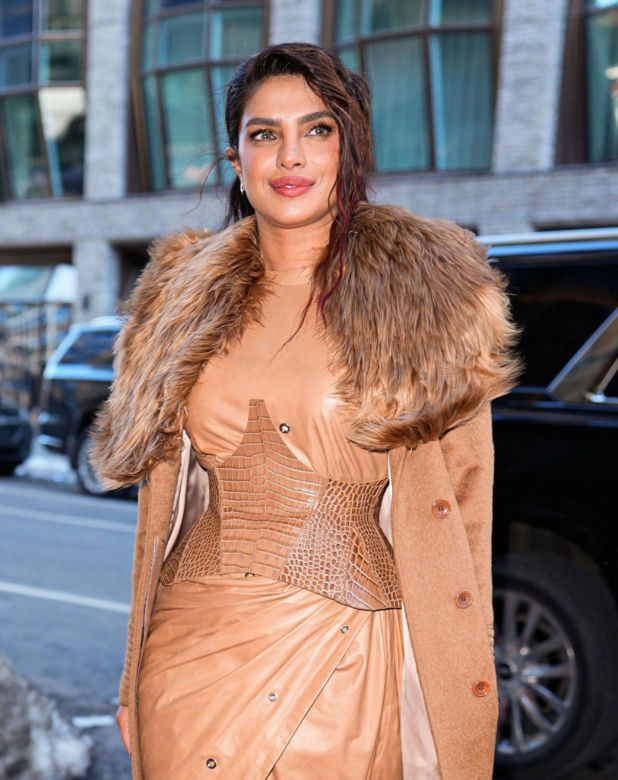 Priyanka Chopra Jonas