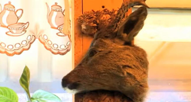 Kuchenne Rewolucje Przybędza