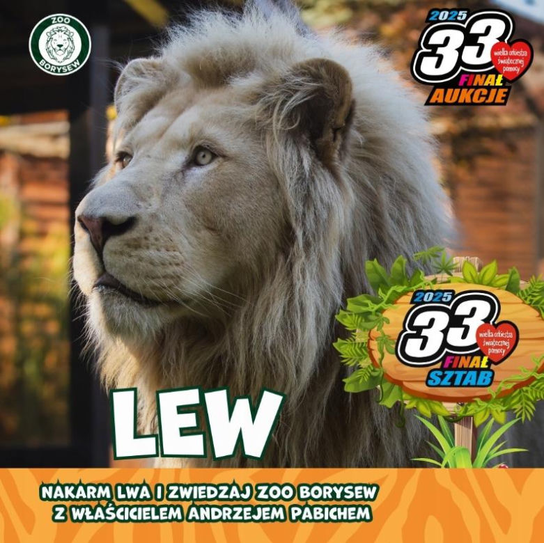 Nakarm lwa i zwiedzaj Zoo Borysew