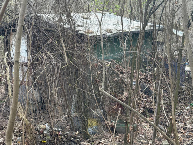 Wielkanocna awantura na ogórdkach działkowych. W ruch poszedł nóż