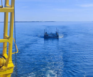 Akcja ratunkowa humbaka Timmiego