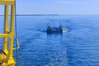 Akcja ratunkowa humbaka Timmiego