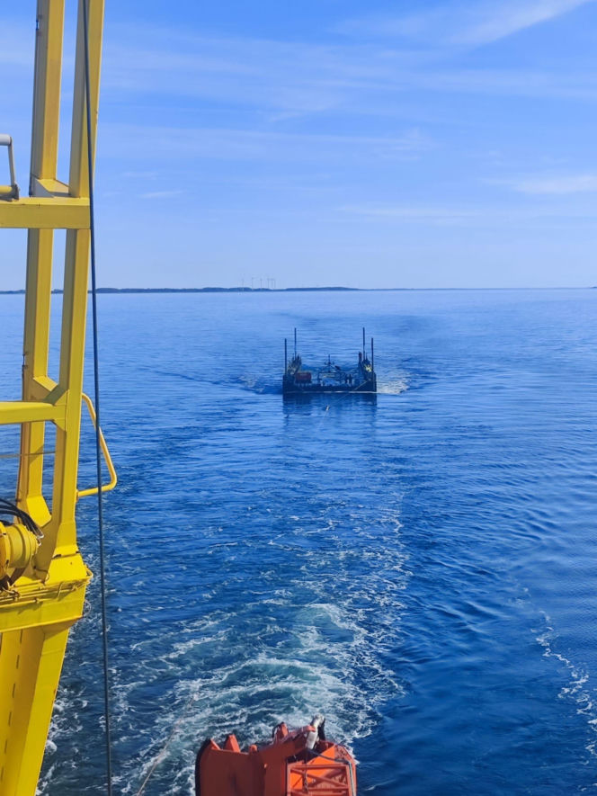 Akcja ratunkowa humbaka Timmiego