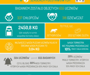 Plecaki uczniów  z wrocławskich podstawówek są za ciężkie!
