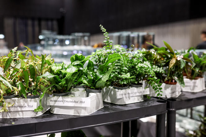 Targi egzotyki w Katowicach