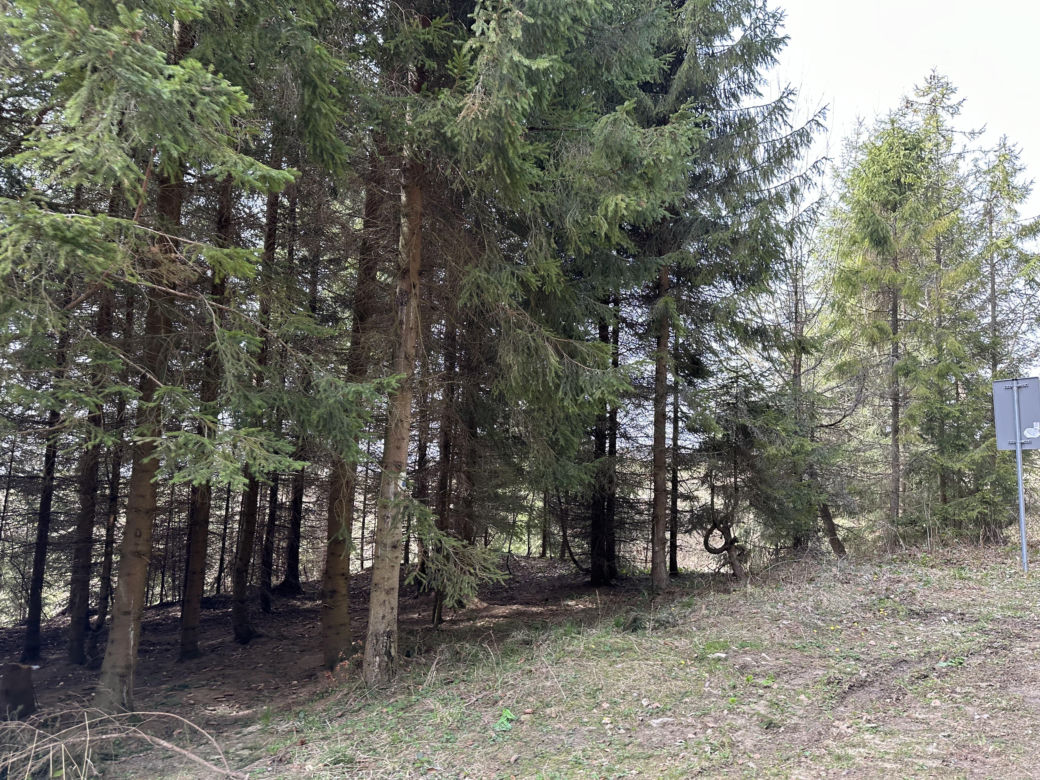 Ukryty szlak turystyczny pełen atrakcji. Nie każdy zna to miejsce w Małopolsce [GALERIA]