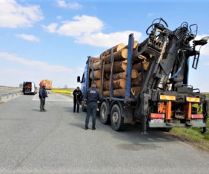 Kontrole transportu drewna