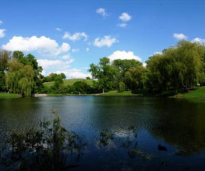 Park Szczęśliwicki