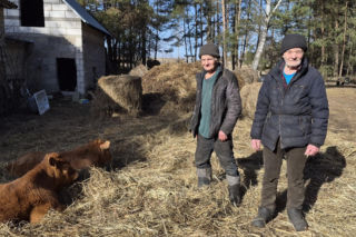 Rolnik z Podlasia bronił swojego bydła. Gdyby nie brat, to by mnie tam zatłukli