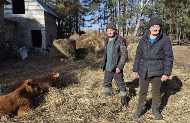 Rolnik z Podlasia bronił swojego bydła. "Gdyby nie brat, to by mnie tam zatłukli"