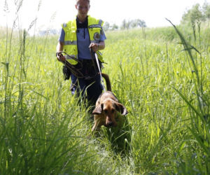 Zbrodnia w Trawnikach. Zamordował żonę i uciekł? Policjanci sprowadzili psy z Saksonii