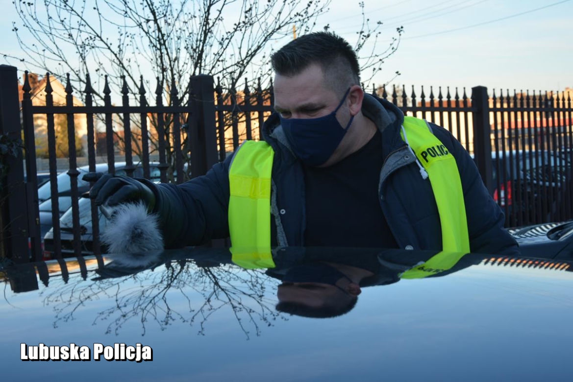 Skradzione Audi A5 odzyskane, podejrzany 23-latek w kajdankach