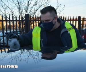 Skradzione Audi A5 odzyskane, podejrzany 23-latek w kajdankach