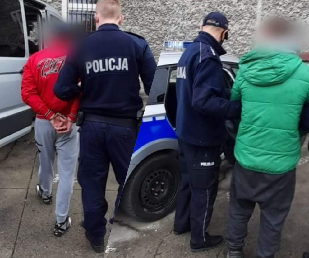 Opolskie: Masakbra piłą mechaniczną! [ZDJĘCIA]