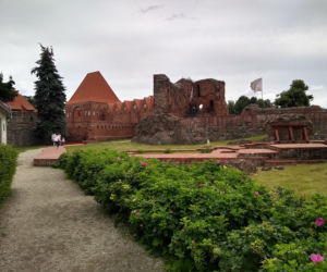 Zamek krzyżacki w Toruniu